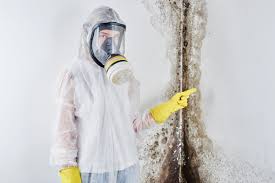 Asbestos and Lead Testing During Mold Inspection in Awendaw, SC